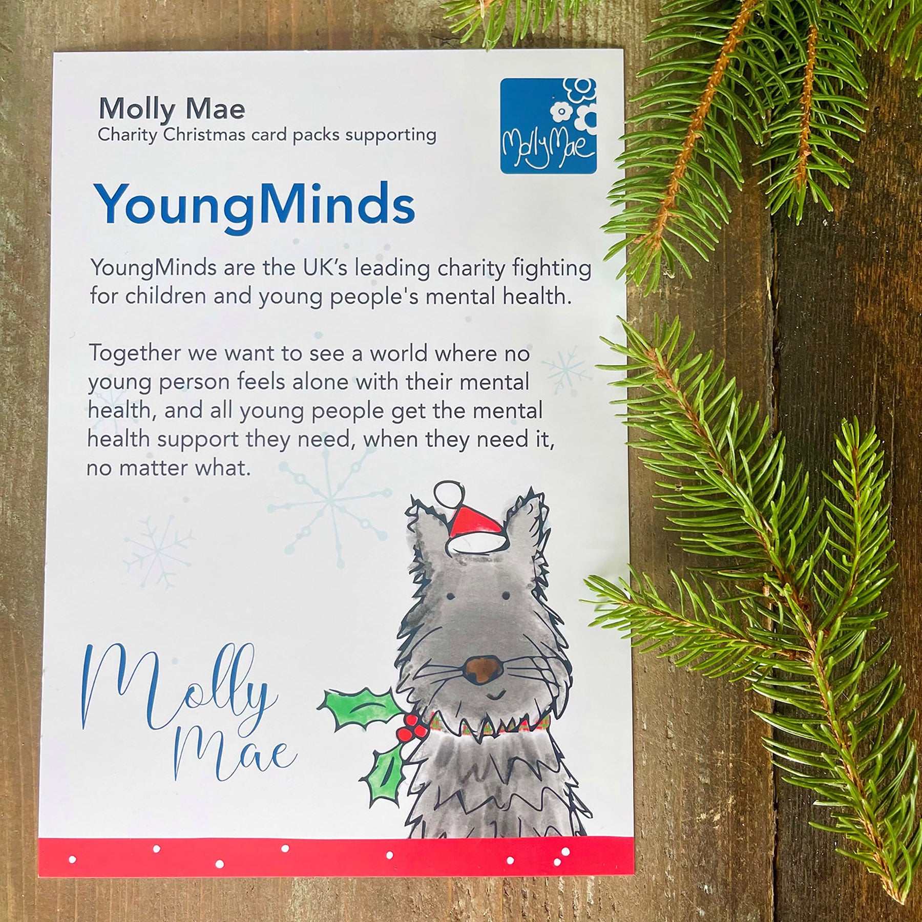 Molly Mae are proud to support Youngs Minds charity