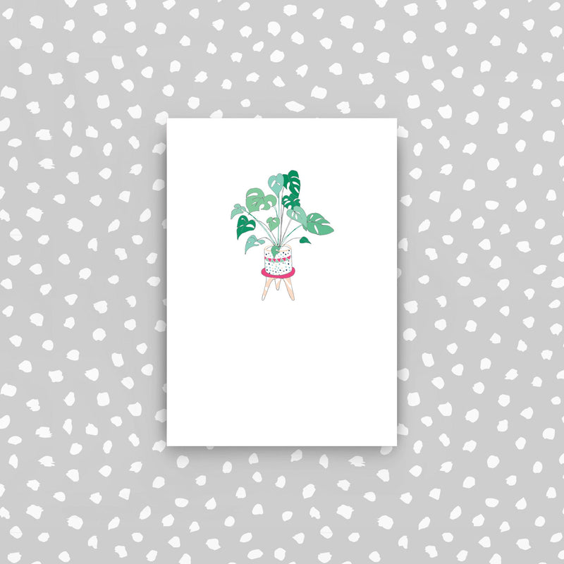 D08 - Cheese plant mini card