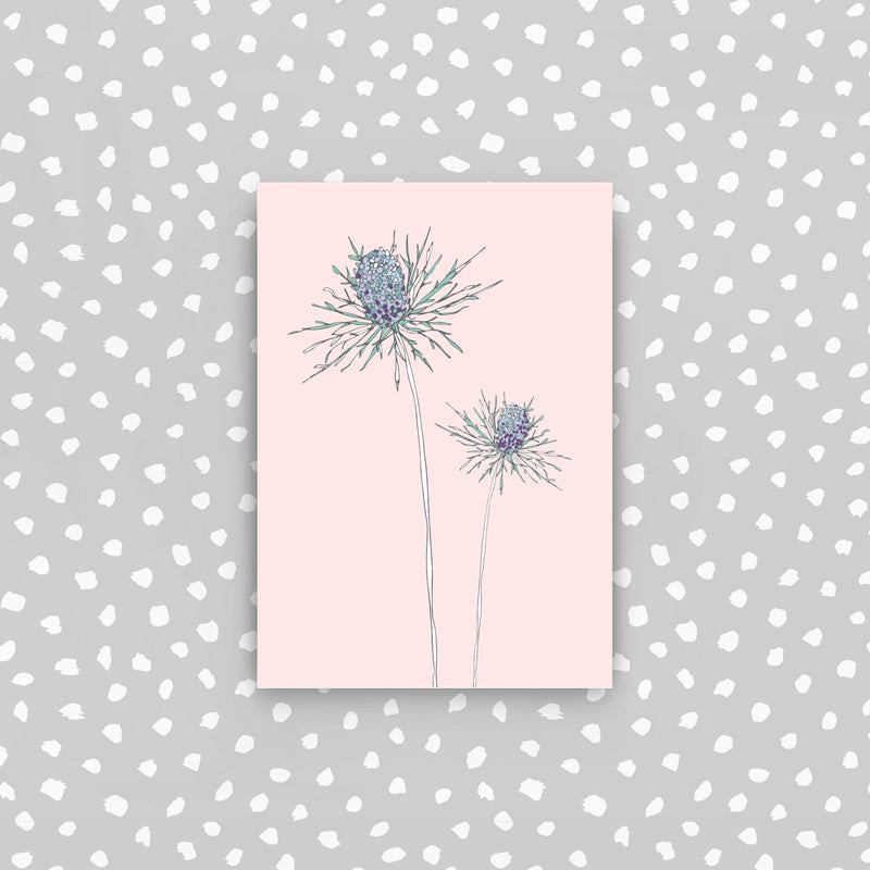 CPD37 - 5 mini cards pack - Two thistles mini card