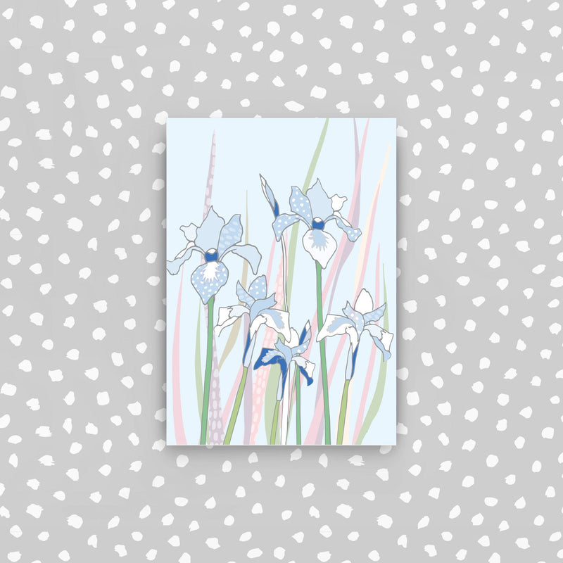 D43 - Iris mini card