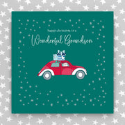 Happy Christmas to my Wonderful Grandson - Large greeting card (LGR09)