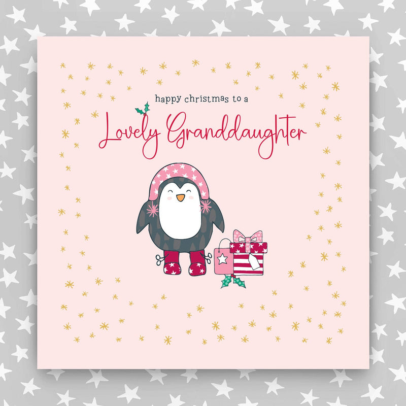 Happy Christmas to my Wonderful Granddaughter - Large greeting card (LGR10)
