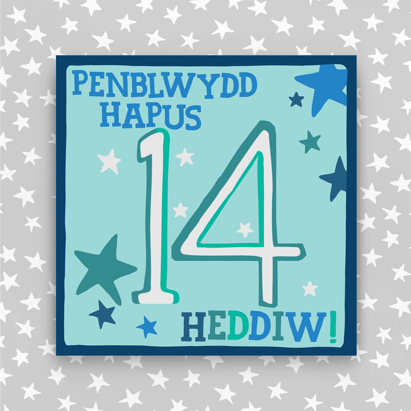 Welsh - Penblwydd Hapus 14 Heddiw - Happy Birthday 14 today card (WHH14)