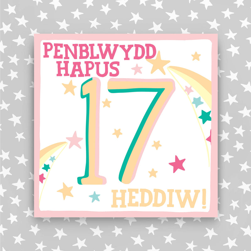 Welsh - Penblwydd Hapus 17 Heddiw - Happy Birthday 17 today card (WHH44)