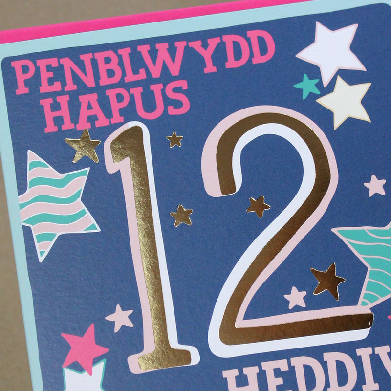 Welsh - Penblwydd Hapus 12 Heddiw - Happy Birthday 12 today card (WHH39)