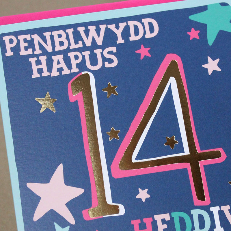 Welsh - Penblwydd Hapus 14 Heddiw - Happy Birthday 14 today card (WHH41)