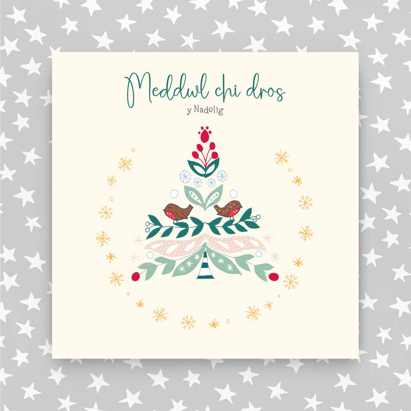 Meddwl chi dros y nadolig (Thinking of you at christmas) (WXGR15)