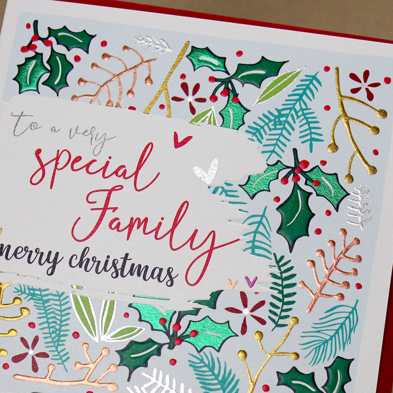 To A Very Special Family Merry Christmas (XBS12)