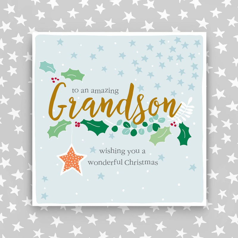 Amazing Grandson at Christmas (DH08)