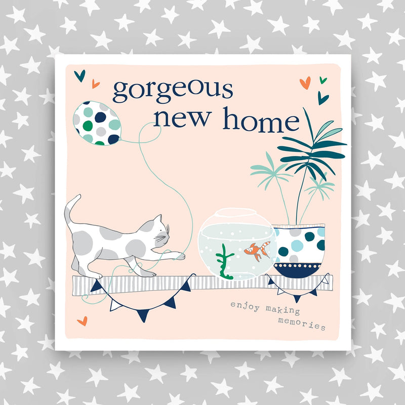 Gorgeous New Home (FB107)