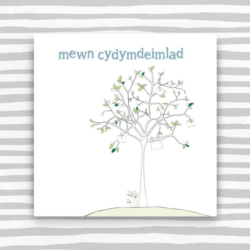 Mewn Cydymdeimlad  (In Sympathy) (WHT41)