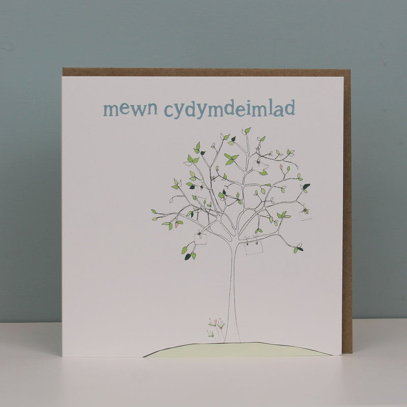 Mewn Cydymdeimlad  (In Sympathy) (WHT41)